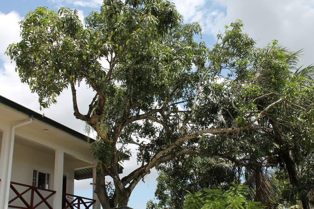 Asteria Studios Paramaribo Exteriér fotografie